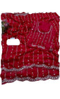 Saree - Embroidered Bollywood Pastal Saree