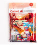 CAMEL - Painting Kit
