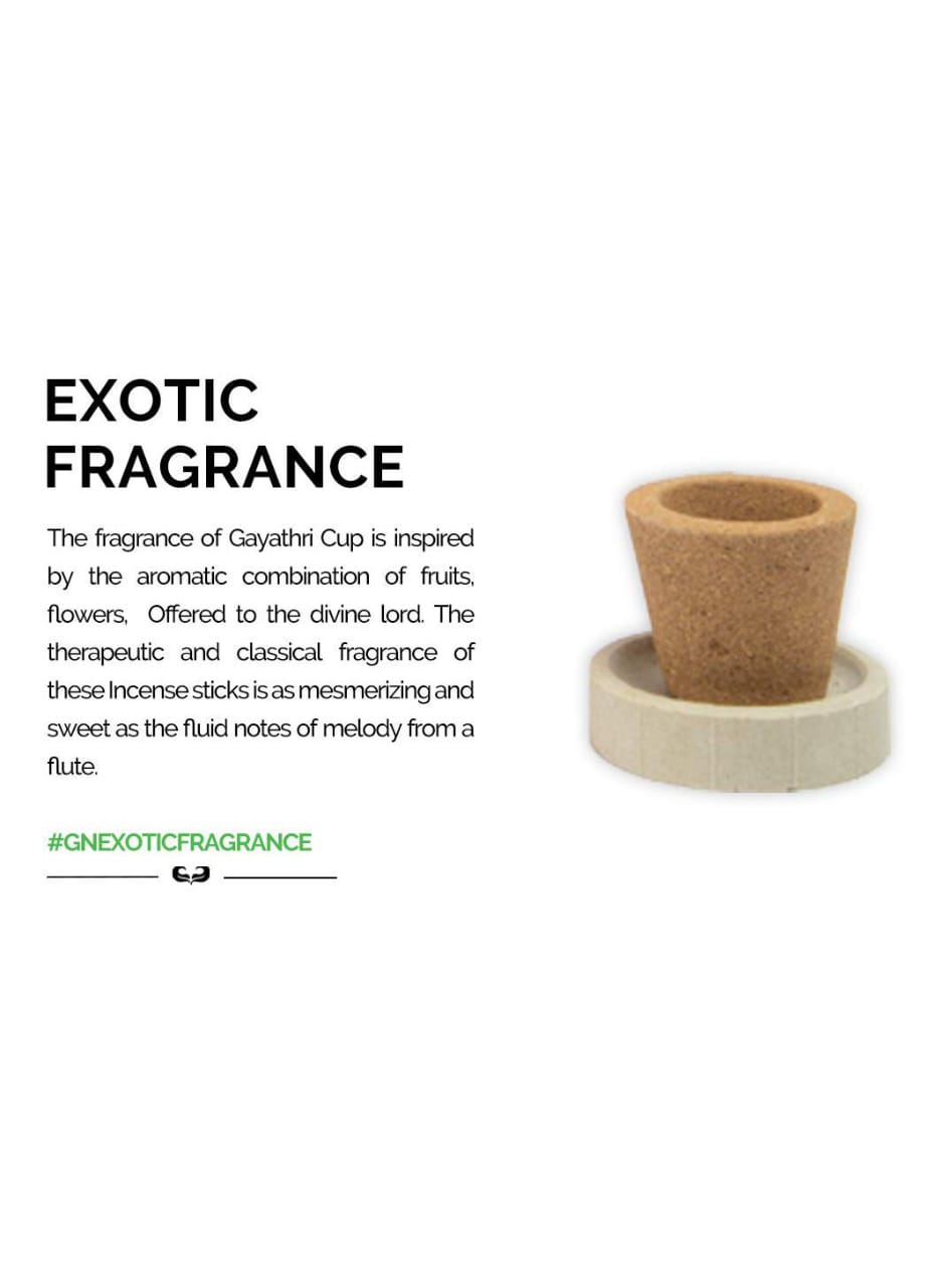 GN Gayathri Sambrani Cups